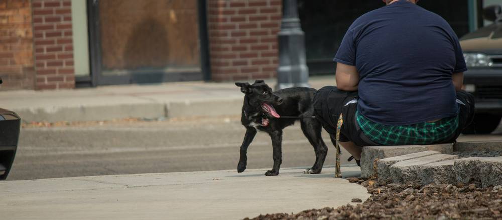 Tenant walks a leashed dog outside a Michigan apartment building